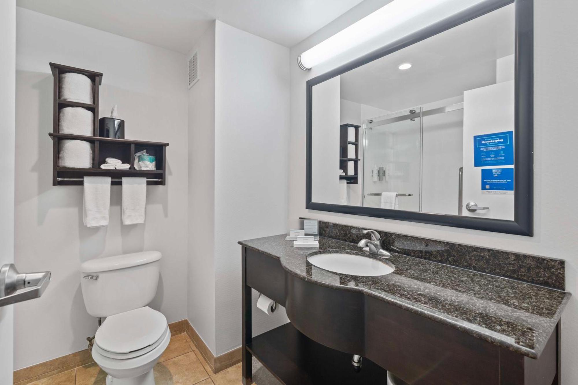 Hampton Atlanta-woodstock Hotel 3*